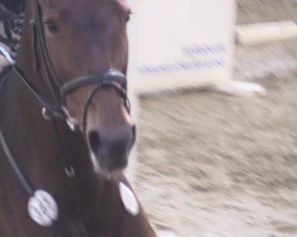 Reitturnier Vlotho-Valdorf 2017