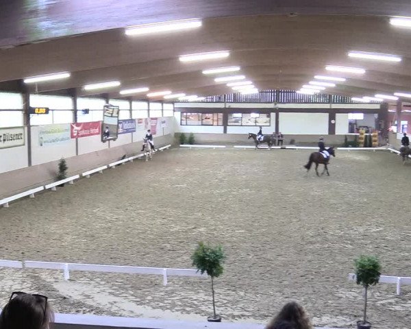 Reitturnier Vlotho-Valdorf 2017