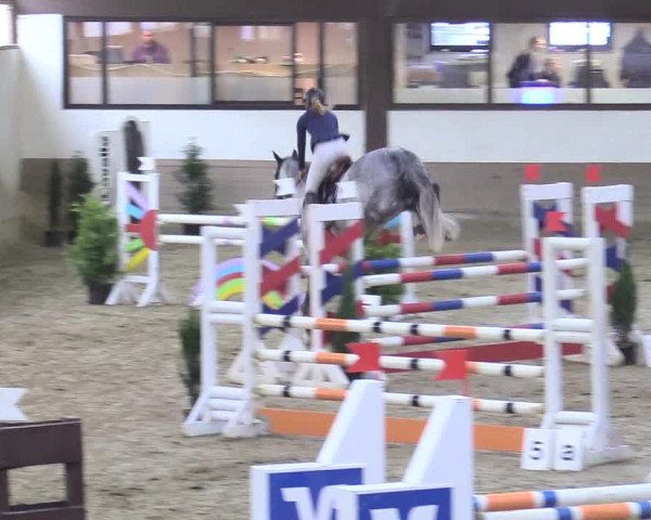 Reitturnier Vlotho-Valdorf 2017