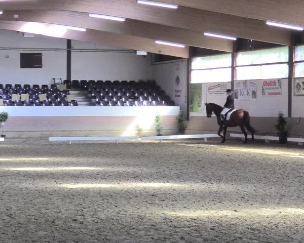 Reitturnier Vlotho-Valdorf 2017