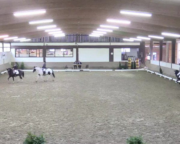 Reitturnier Vlotho-Valdorf 2017