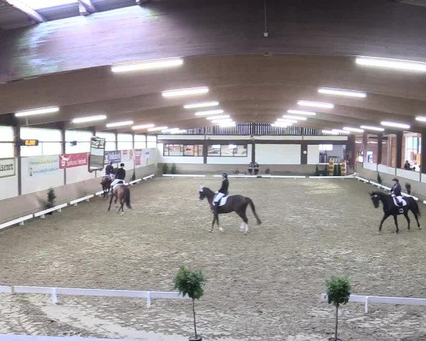 Reitturnier Vlotho-Valdorf 2017