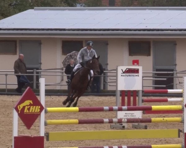 Reitturnier Zoltingen 2017