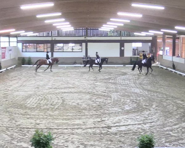 Reitturnier Vlotho-Valdorf 2017