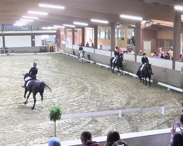 Reitturnier Vlotho-Valdorf 2017