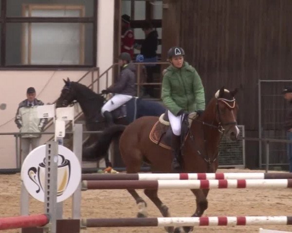 Reitturnier Zoltingen 2017