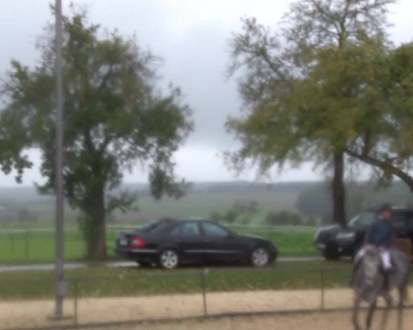 Reitturnier Zoltingen 2017