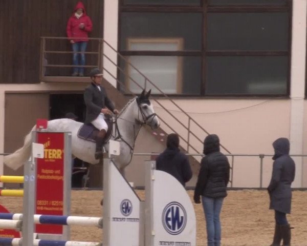 Reitturnier Zoltingen 2017