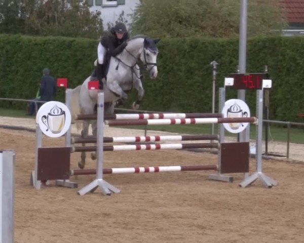 Reitturnier Zoltingen 2017