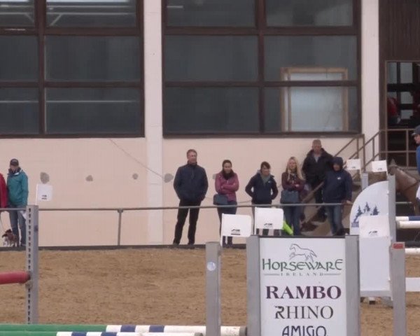 Reitturnier Zoltingen 2017