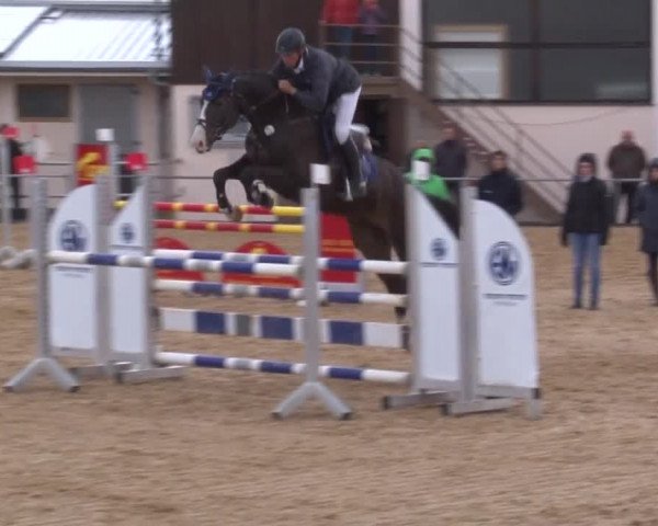 Reitturnier Zoltingen 2017