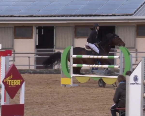 Reitturnier Zoltingen 2017