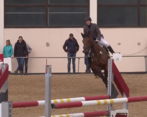 Reitturnier Zoltingen 2017