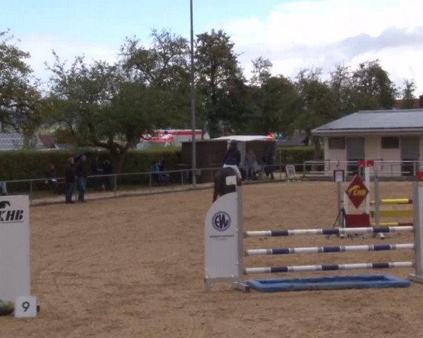 Reitturnier Zoltingen 2017