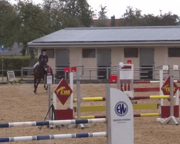 Reitturnier Zoltingen 2017
