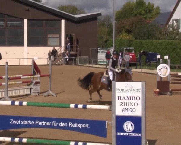 Reitturnier Zoltingen 2017