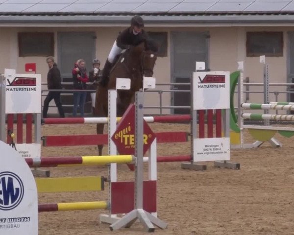 Reitturnier Zoltingen 2017