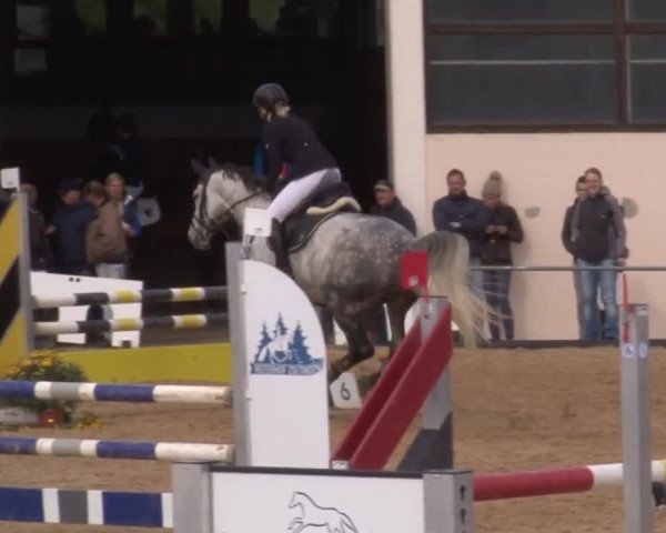 Reitturnier Zoltingen 2017
