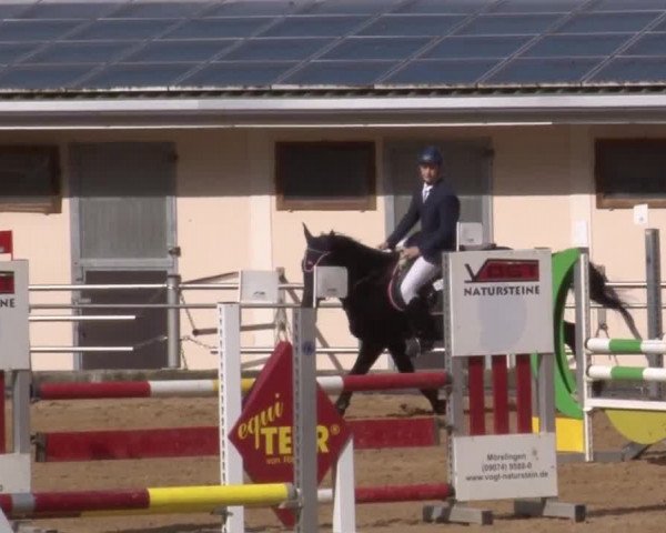 Reitturnier Zoltingen 2017