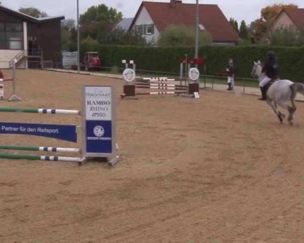 Reitturnier Zoltingen 2017