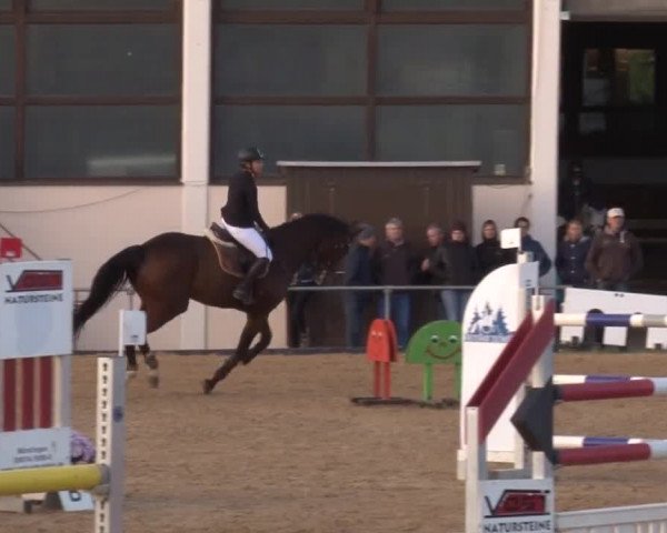 Reitturnier Zoltingen 2017