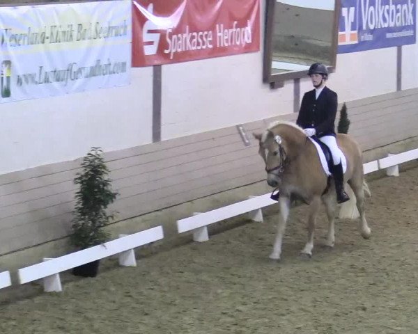 Reitturnier Vlotho-Valdorf 2017