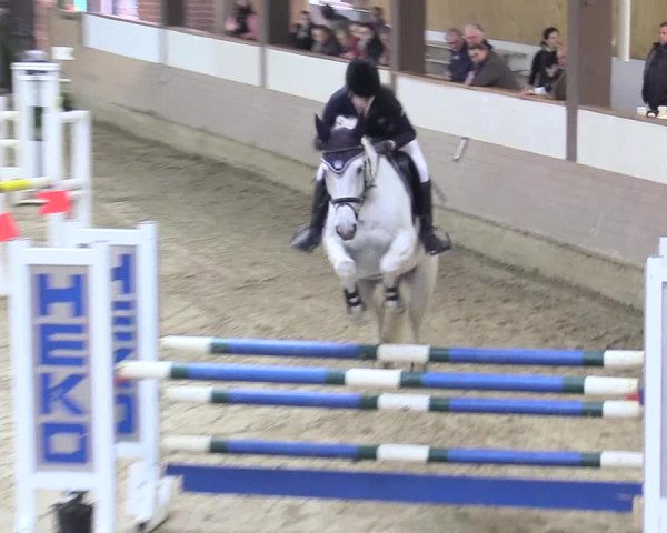 Reitturnier Vlotho-Valdorf 2017