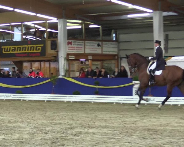Reitturnier Isterberg 2017