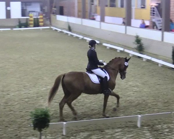 Reitturnier Vlotho-Valdorf 2017