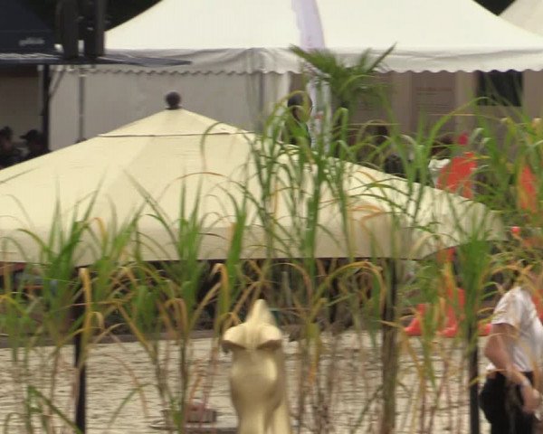 Equus Colonius - Reitanlage Brüse Köln 2021