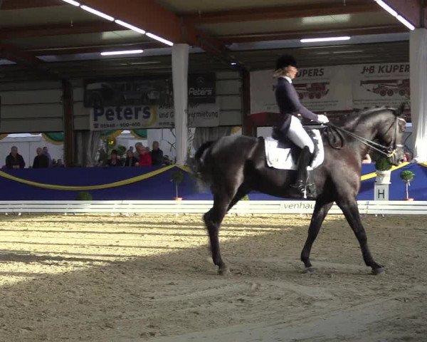 Reitturnier Isterberg 2017