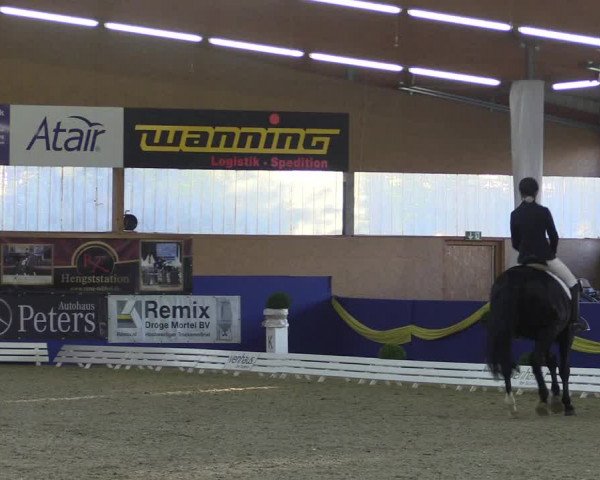 Reitturnier Isterberg 2017