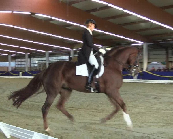 Reitturnier Isterberg 2017