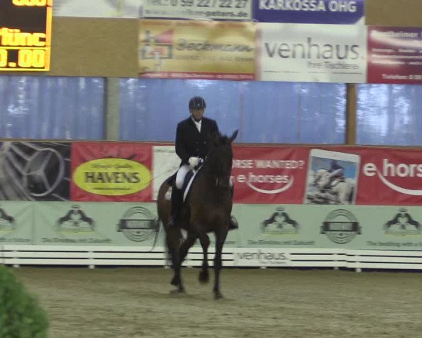 Reitturnier Isterberg 2017