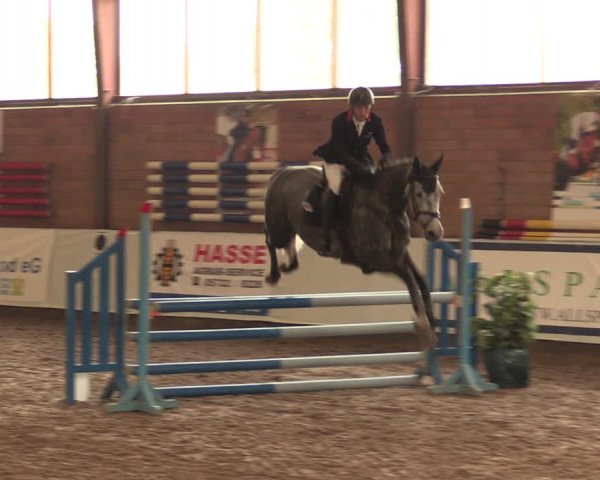Reitturnier Ovenstädt 2017