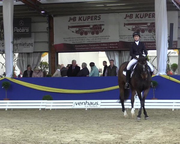 Reitturnier Isterberg 2017