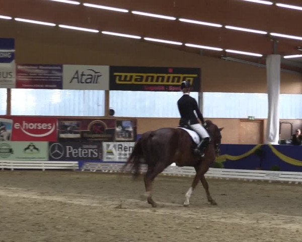 Reitturnier Isterberg 2017