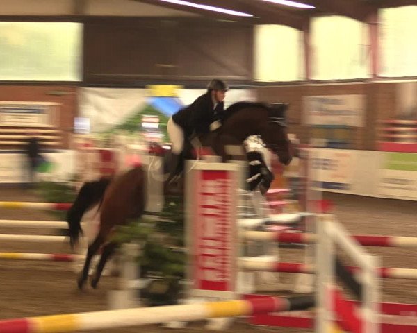 Reitturnier Ovenstädt 2017
