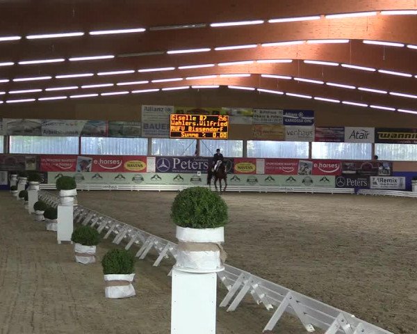Reitturnier Isterberg 2017
