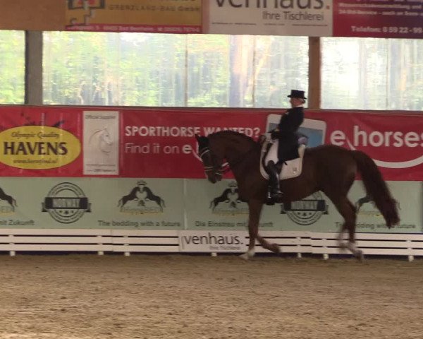 Reitturnier Isterberg 2017
