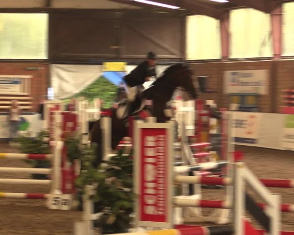 Reitturnier Ovenstädt 2017