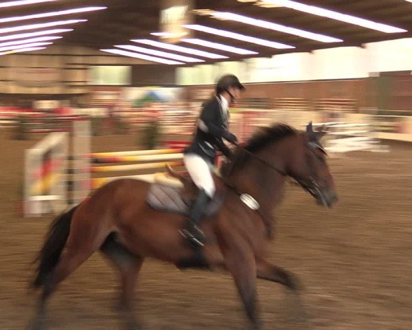 Reitturnier Ovenstädt 2017