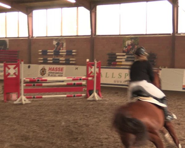 Reitturnier Ovenstädt 2017