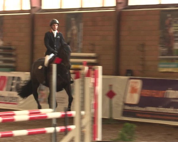 Reitturnier Ovenstädt 2017