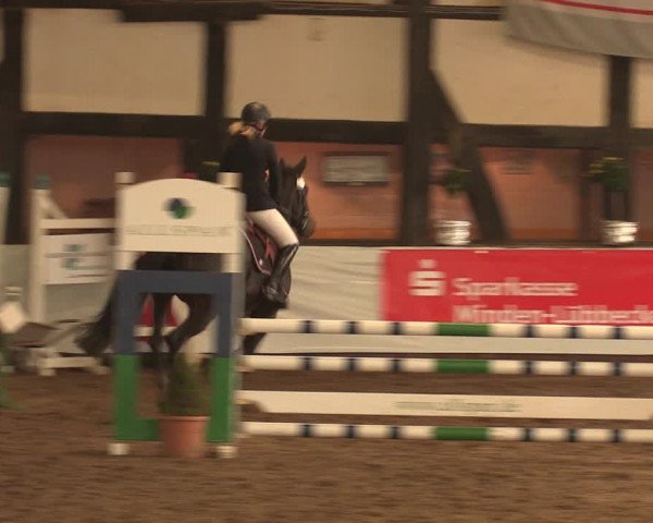 Reitturnier Ovenstädt 2017