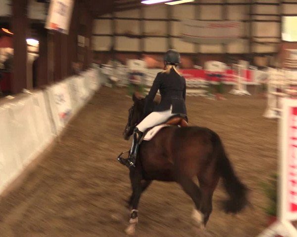 Reitturnier Ovenstädt 2017