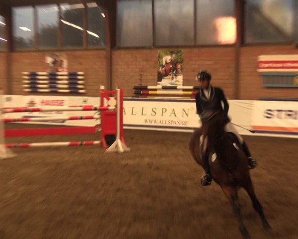 Reitturnier Ovenstädt 2017