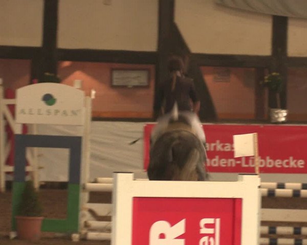 Reitturnier Ovenstädt 2017