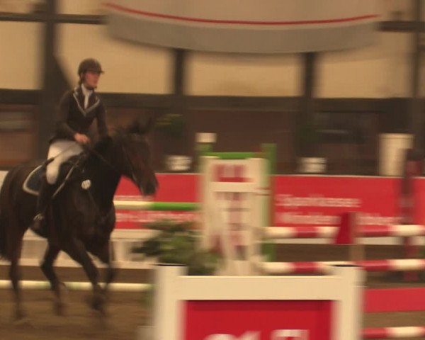 Reitturnier Ovenstädt 2017