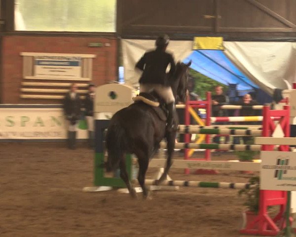 Reitturnier Ovenstädt 2017
